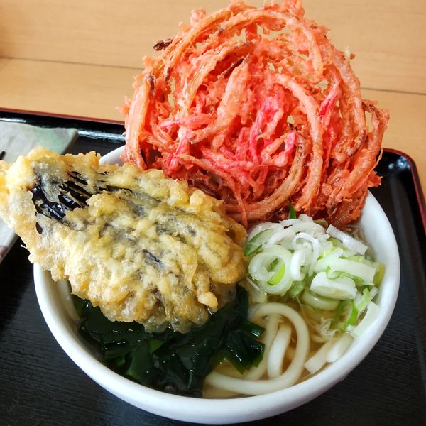 「うどん（￥300）＋なす（￥100）＋紅生姜（￥100）」@松の屋の写真