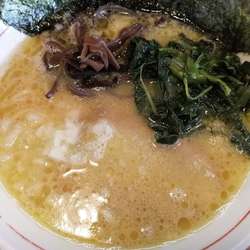 豚骨醤油ラーメン(500)