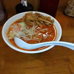 限定〜辛味噌〜味玉＋メンマ