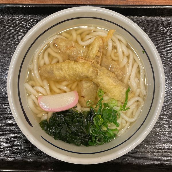 「ごぼ天うどん（麺やわ）」@博多うどん よかよか 有楽町店の写真