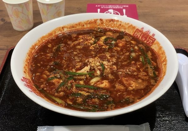 「元祖辛麺レギュラー15辛 こんにゃく麺 ニンニク入り」@辛麺屋 桝元 イオンモール木更津店の写真