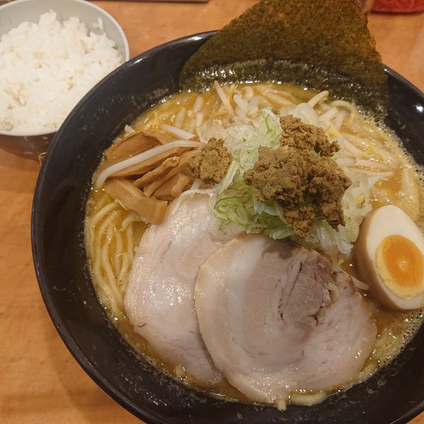 「スタカレーラーメン920円、餃子150円、ビール500円」@つけ麺中華そば 節 本八幡店の写真