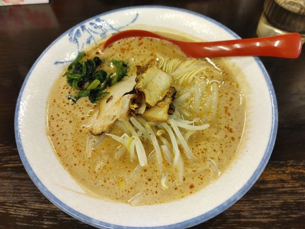 「白味、ストレート細麺」@タンタン麺とからあげのジェイタンの写真