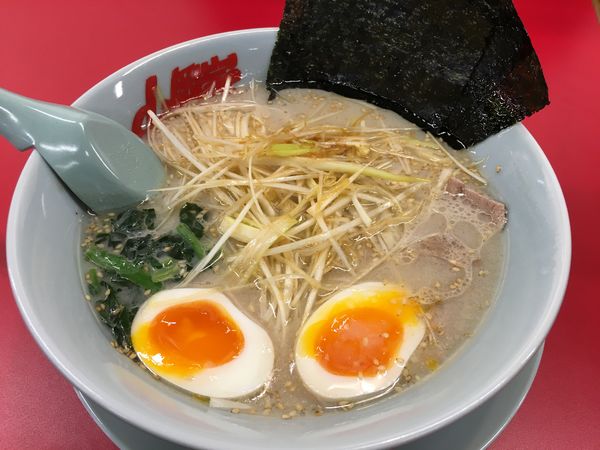 「ネギラーメン(塩)」@ラーメン山岡家 定禅寺通店の写真