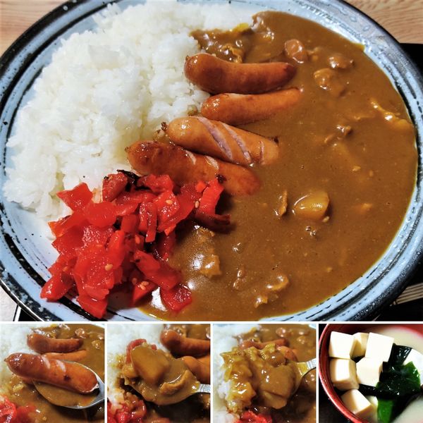 「ウィンナーカレー　950円」@辰巳庵の写真