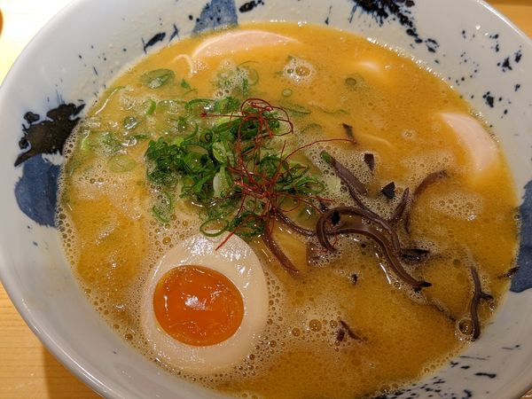 「鶏白湯ラーメン」@らーめん 一嗹の写真