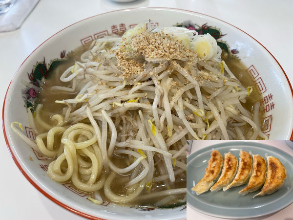 「しおラーメンもやし大盛り800円、餃子300円」@えぞっ子 見和店の写真