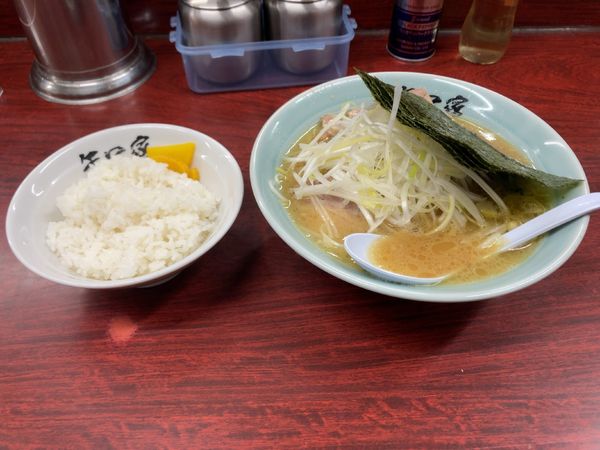 「矢口家ラーメン　ライス」@矢口家 平塚店の写真