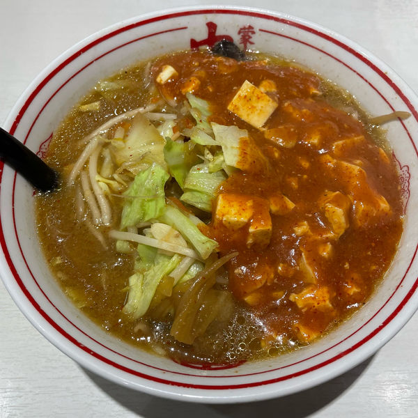 「蒙古タンメン」@蒙古タンメン 中本 川崎店の写真