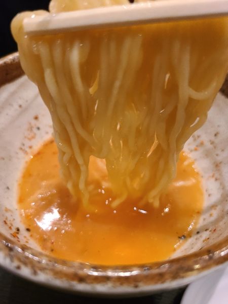 「曲者つけ麺　1/20」@ラーメン大至の写真