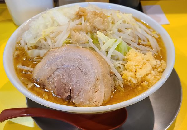 「味噌ラーメン大+タマネギ」@ラーメン ヒカリの写真