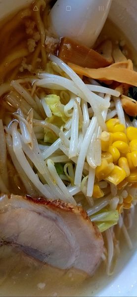 「塩ラーメン」@らーめん ともや 高崎店の写真