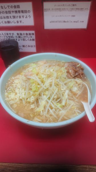 「男盛り  野菜以外マシマシ」@ラーメン二郎 京急川崎店の写真