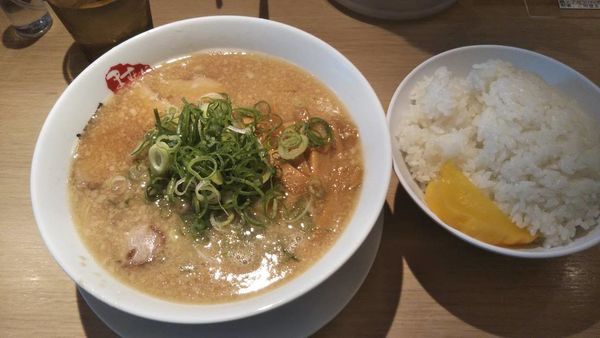 「ラーメン＋ライス」@京都銀閣寺 ますたにラーメン 日本橋本店の写真