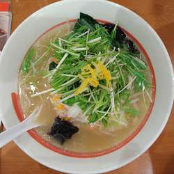 ゆず塩野菜らーめん