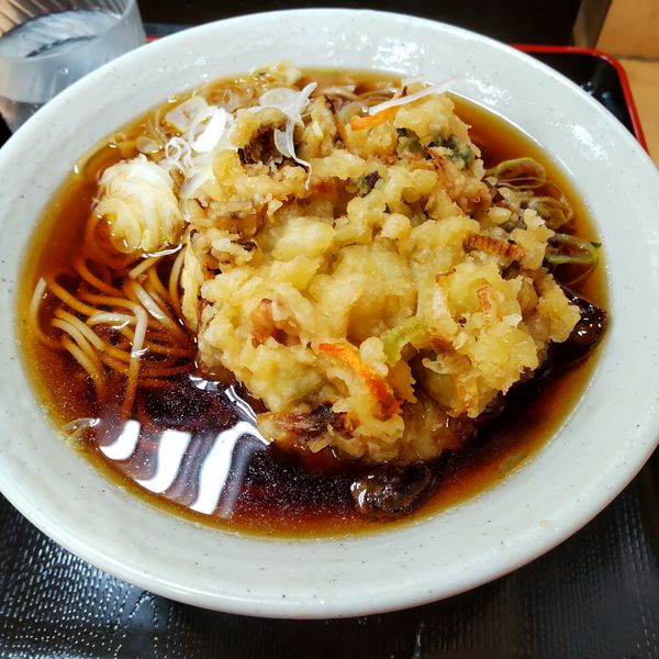 「薬膳天(¥420)」@梅もと 船橋店の写真