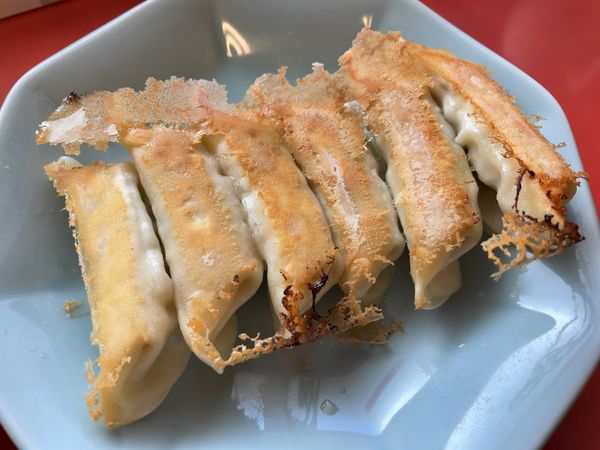 「焼餃子」@宇都宮みんみん 本店の写真