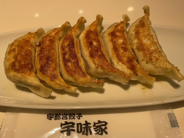 「焼餃子」@宇味家 JR宇都宮駅構内店の写真