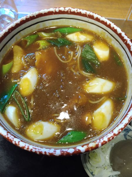 「かれー南蛮」@入新井 愛知家の写真