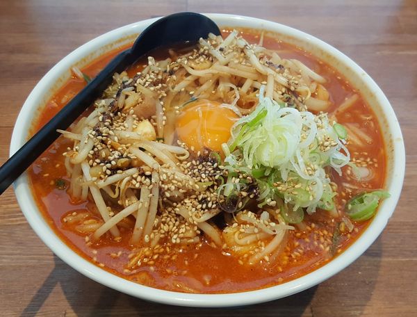 「ホルスタラーメン」@柳家 一関店の写真