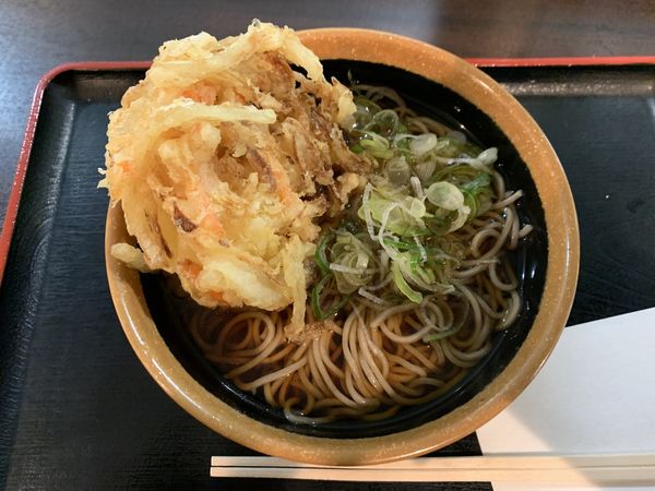 「かき揚げそば」@めとろ庵 大手町店の写真