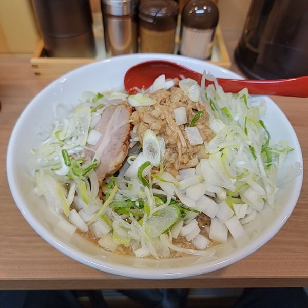 「豚ラーメン(醤油)麺少なめ薬味ネギタマネギ」@ラーメン豚壱の写真