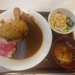 ホロホロチキンカレー(並)680円、野菜セット190円