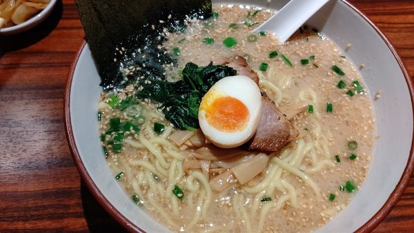 「塩とんこつラーメン」@究極ラーメン 横濱家 東名川崎店の写真