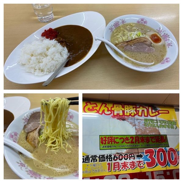 「ハーフ素ラーメン 150円・とん骨豚カレー 600円→300円」@らーめん食堂 正味の写真
