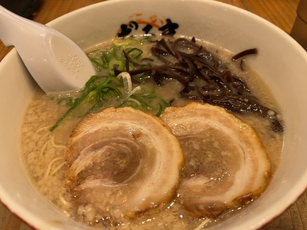 「白だるま」@博多だるまネクスト 大分店の写真