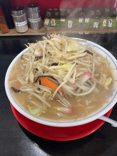 「ちゃんぽん　野菜増し950円」@麺家 心花の写真