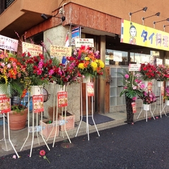 ウライワンの画像