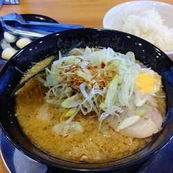 嵐げんこつらあめん&ネギ＋クーポンライス