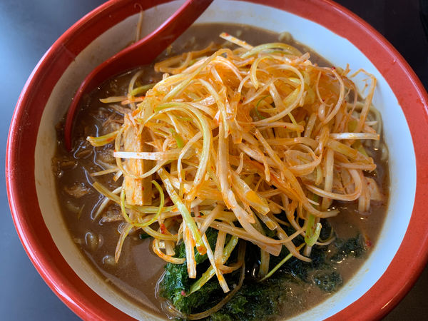 「伊勢味噌肉ネギらーめん」@麺場 田所商店 つくばささぎ店の写真