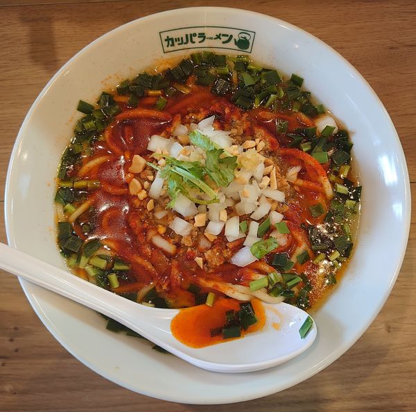 「麻辣好麺(850円)」@らーめん ニューカッパの写真