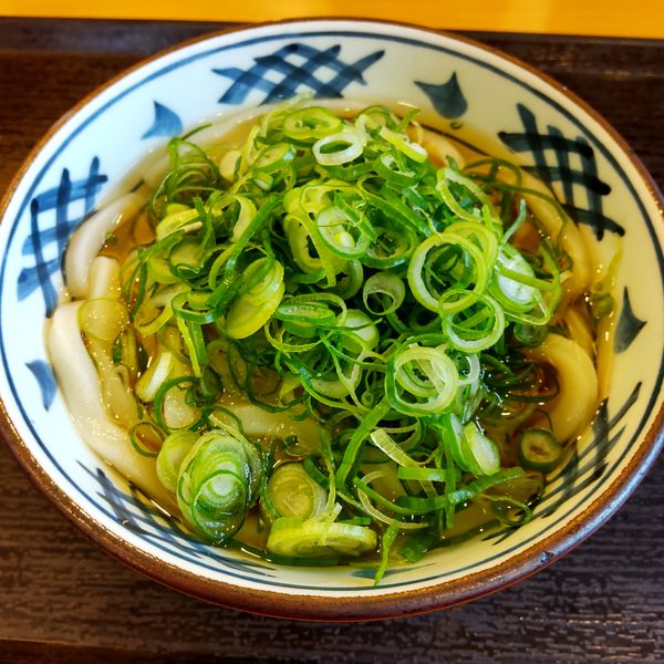 「かけ（並）（￥290）」@瀬戸うどん 川崎藤崎店の写真