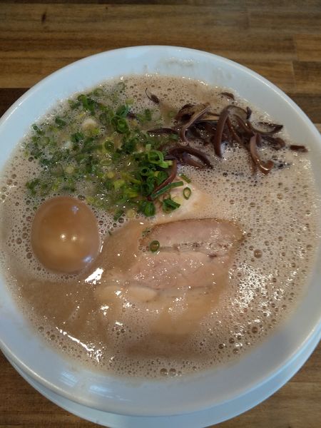 「博多ラーメン（味玉付き）」@博多ラーメン まっしぐらの写真