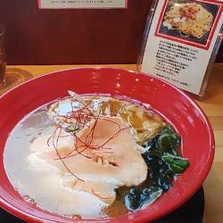 濃厚鶏白湯ラーメン醤油