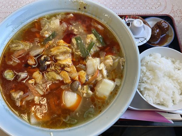 「サンラータンメン」@支那そば屋 蓬莱苑の写真