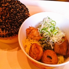 ザ・ドラゴンズ・パールの画像