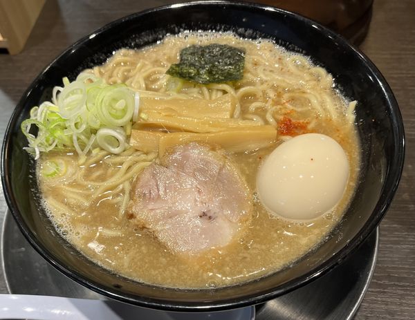 「味玉中華そば」@六厘舎 上野店の写真