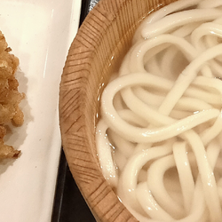 釜揚げうどん　かき揚げ