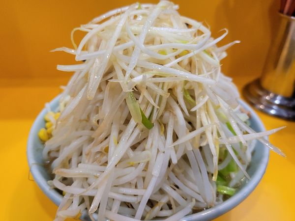 「プチ二郎　ねぎトッピング　野菜　脂」@ラーメン二郎 八王子野猿街道店2の写真