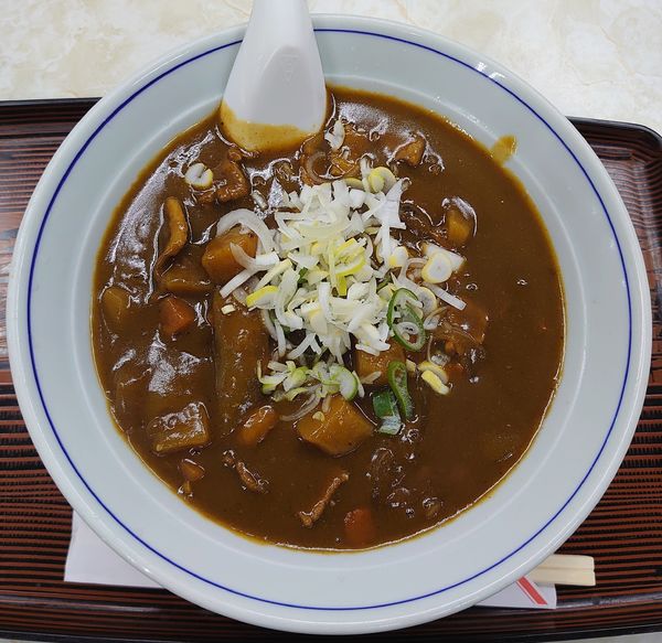 「カレーラーメン(750円)」@宝来の写真