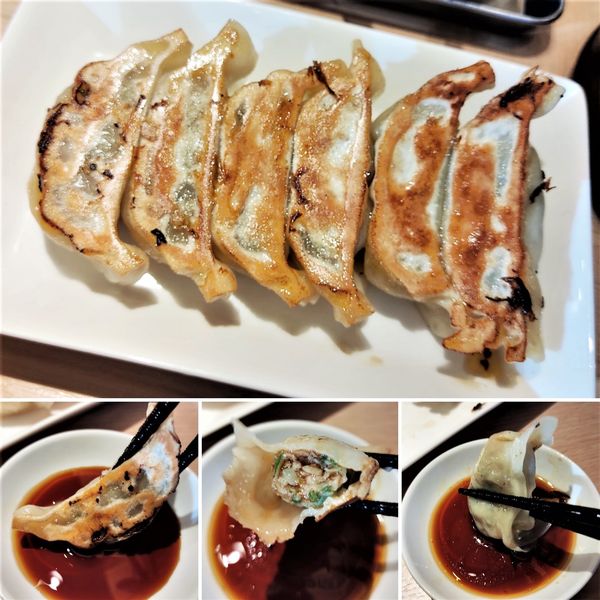 「餃子(6個) 390円」@京都銀閣寺 ますたにラーメン 日本橋本店の写真