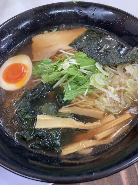 「にぼしらーめん（780円）」@ラーメンガキ大将 谷田部店の写真