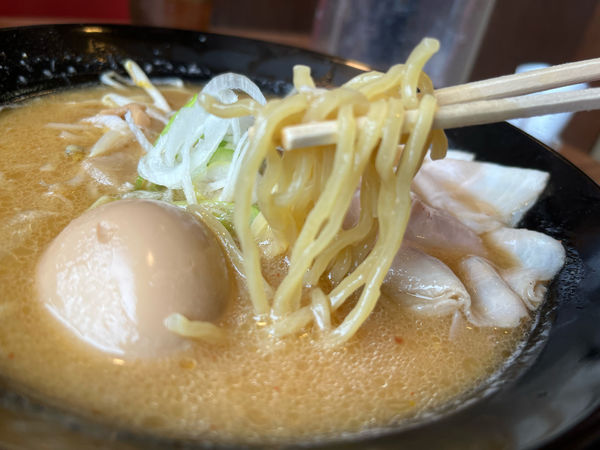 「熟成味噌　肉らーめん　味玉付　825円」@北海道らあめん伝丸 356号香取店の写真