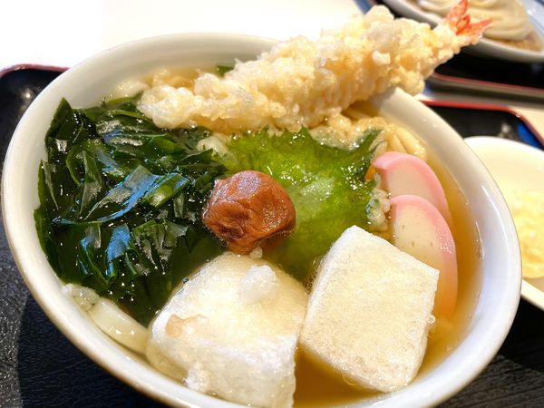 「恒例 年明けうどん 並 ￥1100」@手打うどん 長谷沼の写真