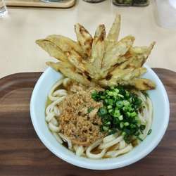 かしわうどん（ごぼう天トッピング）