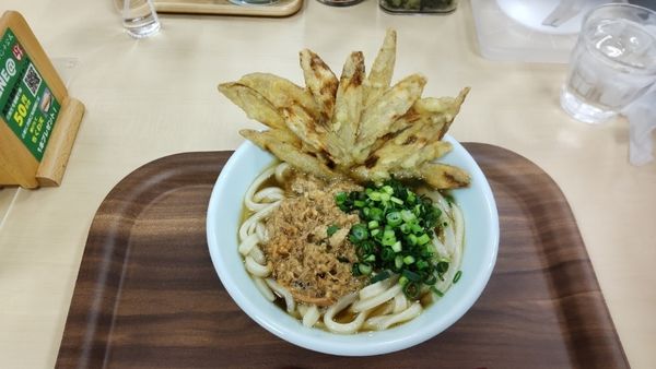 「かしわうどん（ごぼう天トッピング）」@小倉肉うどんパンチの写真